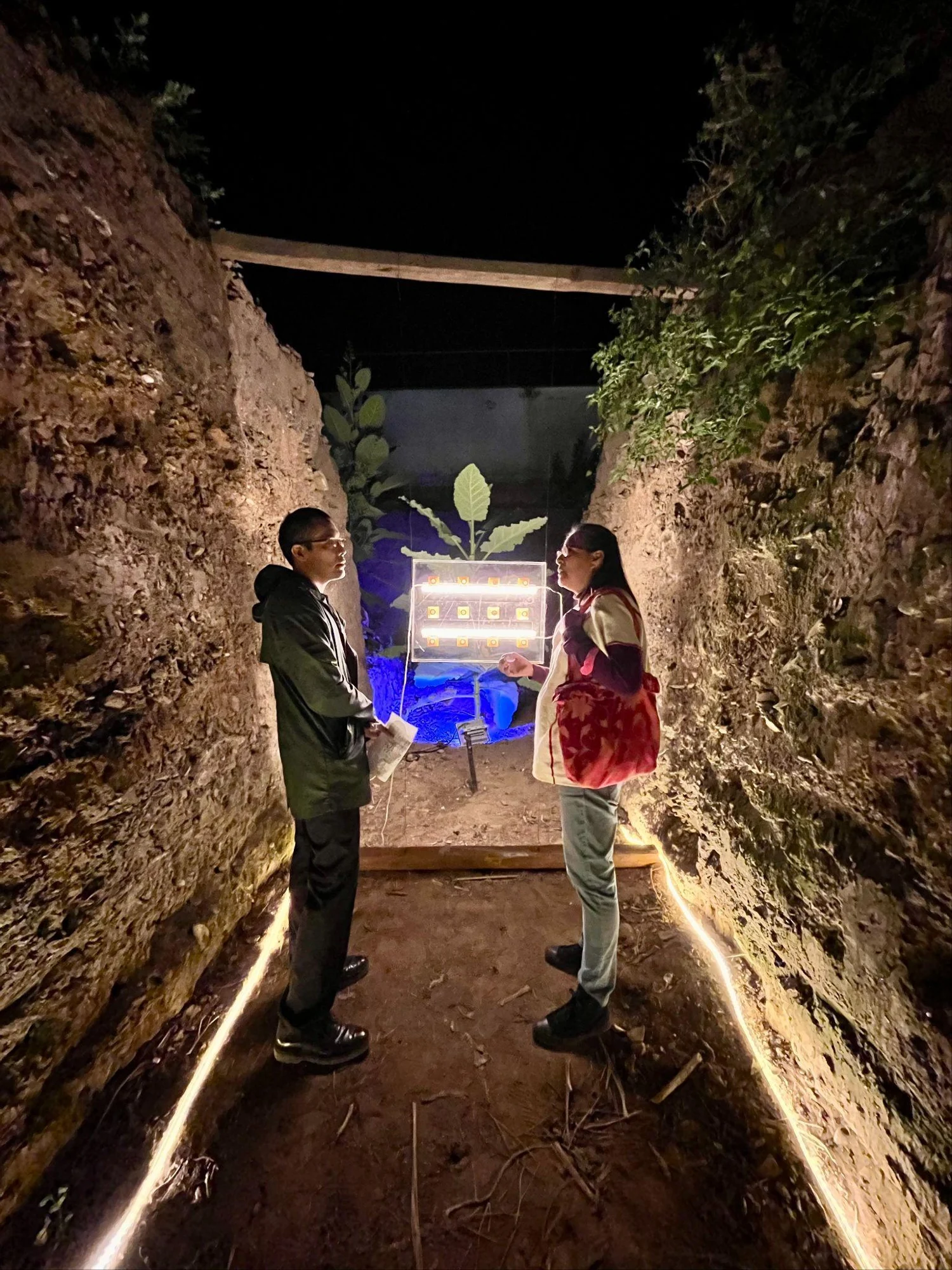 Médula — vista del proyecto