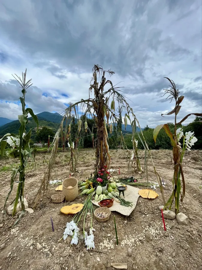 Milpa en descanso — documentación del proyecto